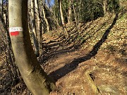 Pizzo Rabbioso e Monte Corno ad anello da Santa Croce (sent. 561) – 19genn22 - FOTOGALLERY